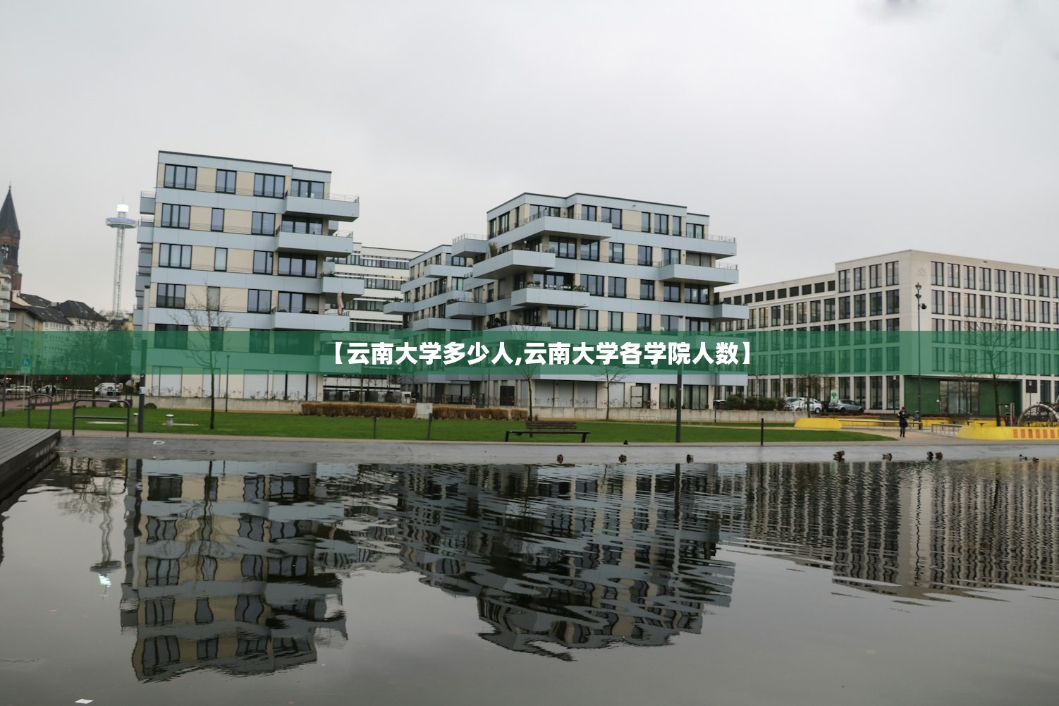 【云南大学多少人,云南大学各学院人数】 【云南大学多少人,云南大学各学院人数】