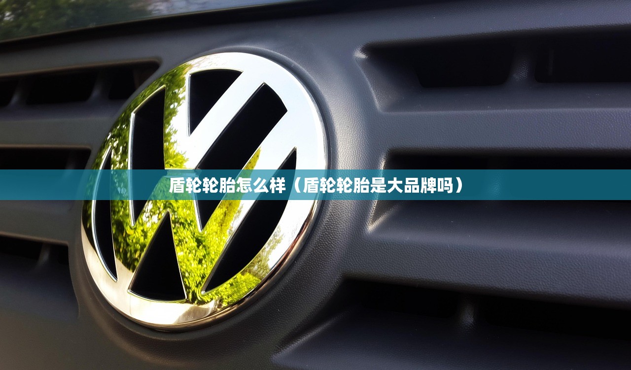 盾轮轮胎怎么样（盾轮轮胎是大品牌吗）