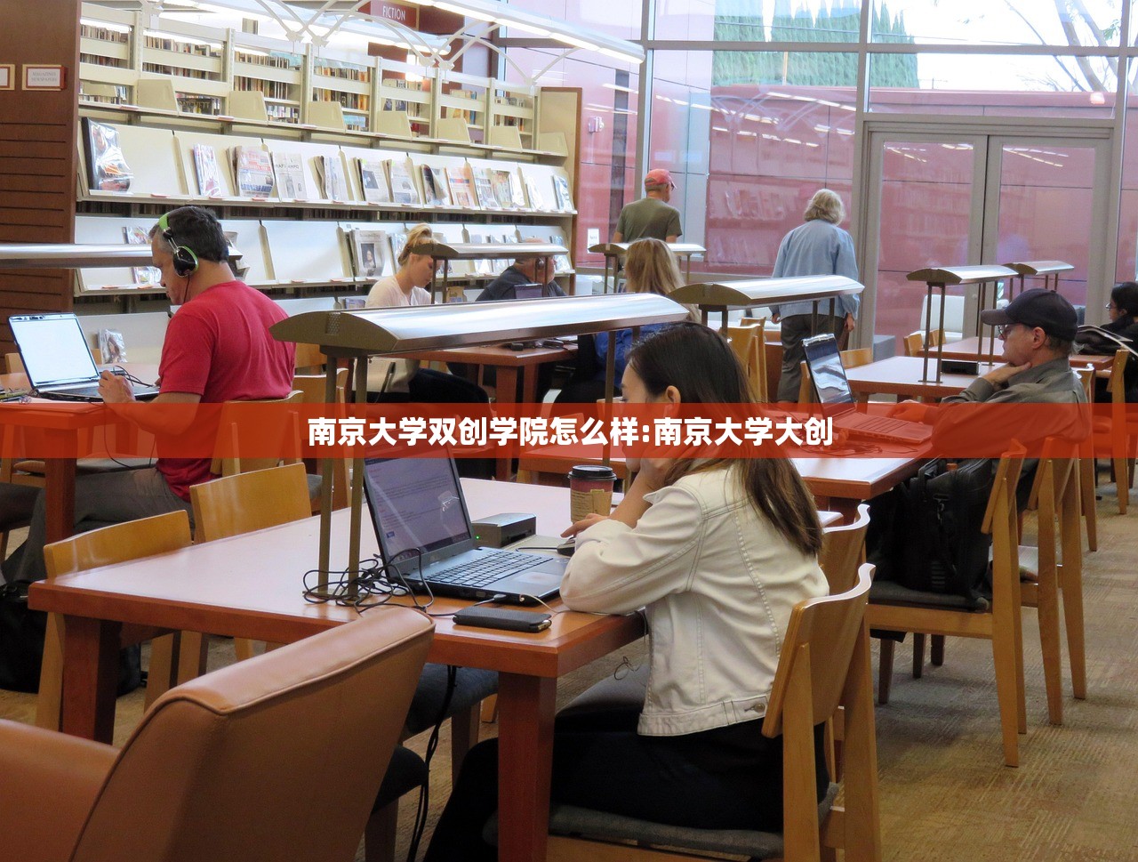 南京大学双创学院怎么样:南京大学大创