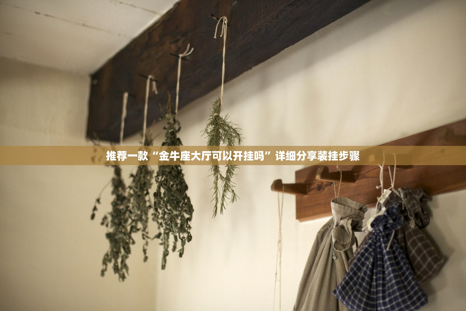 推荐一款“金牛座大厅可以开挂吗”详细分享装挂步骤