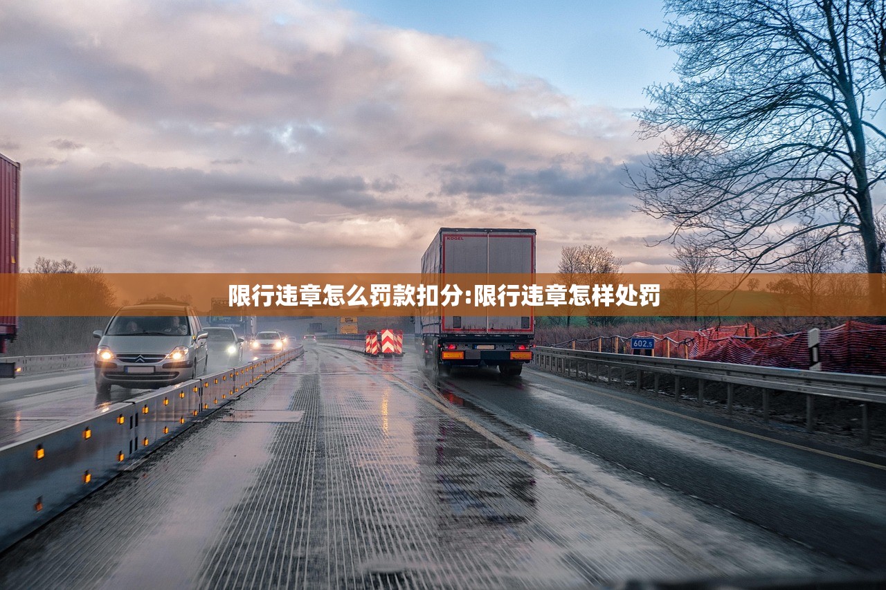 限行违章怎么罚款扣分:限行违章怎样处罚