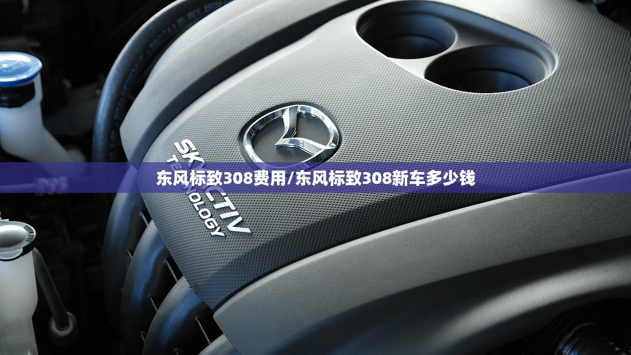 东风标致308费用/东风标致308新车多少钱