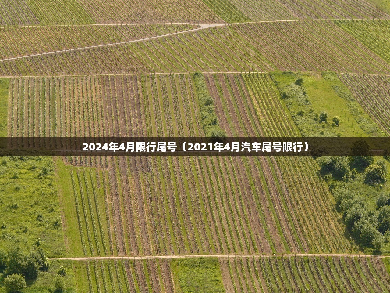 2024年4月限行尾号（2021年4月汽车尾号限行）