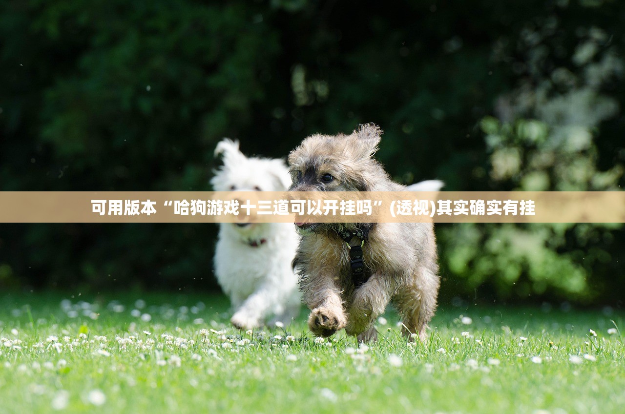 可用版本“哈狗游戏十三道可以开挂吗”(透视)其实确实有挂