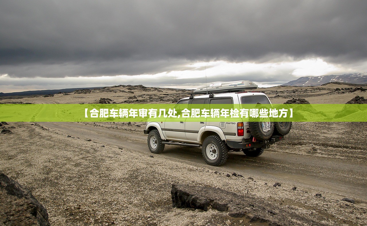 【合肥车辆年审有几处,合肥车辆年检有哪些地方】