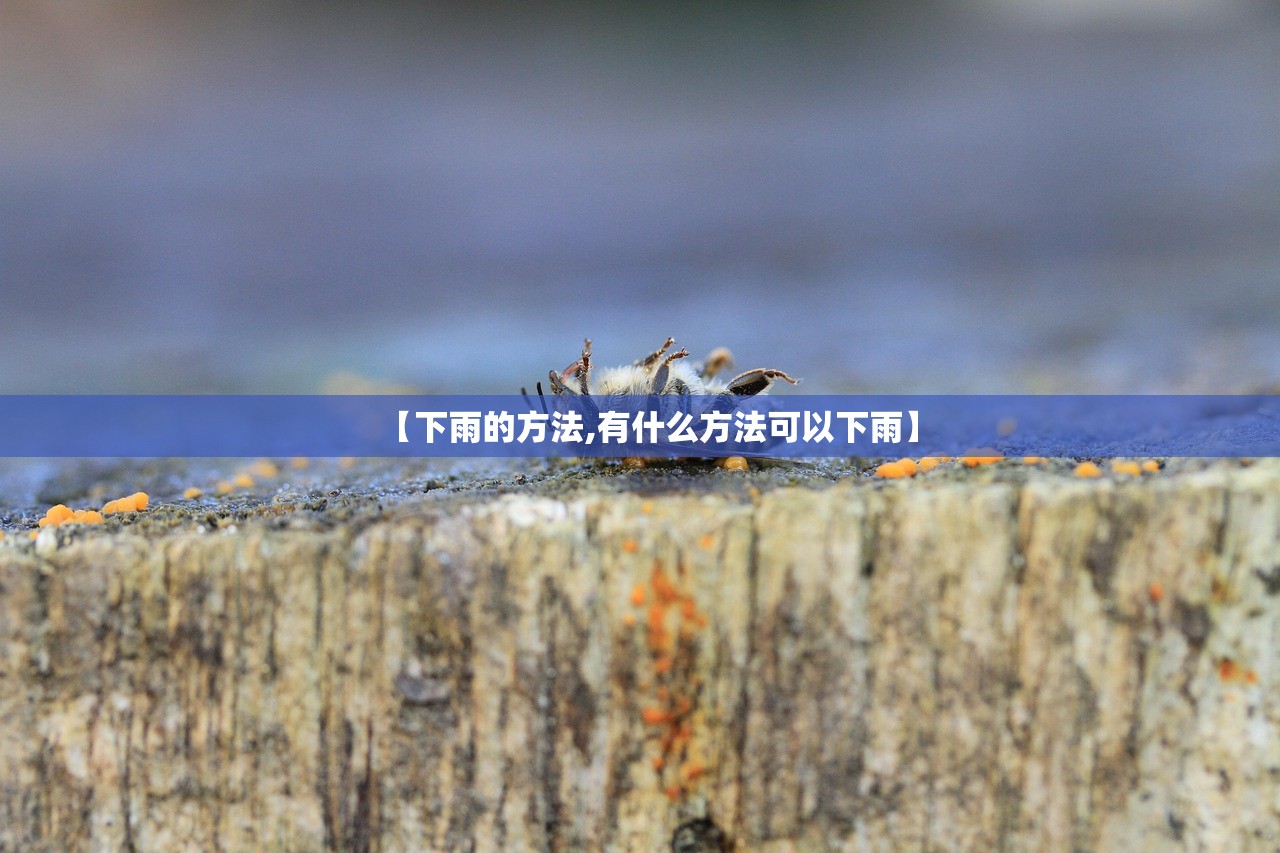 【下雨的方法,有什么方法可以下雨】