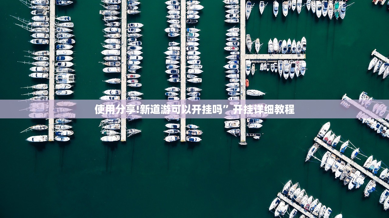 使用分享!新道游可以开挂吗	”开挂详细教程