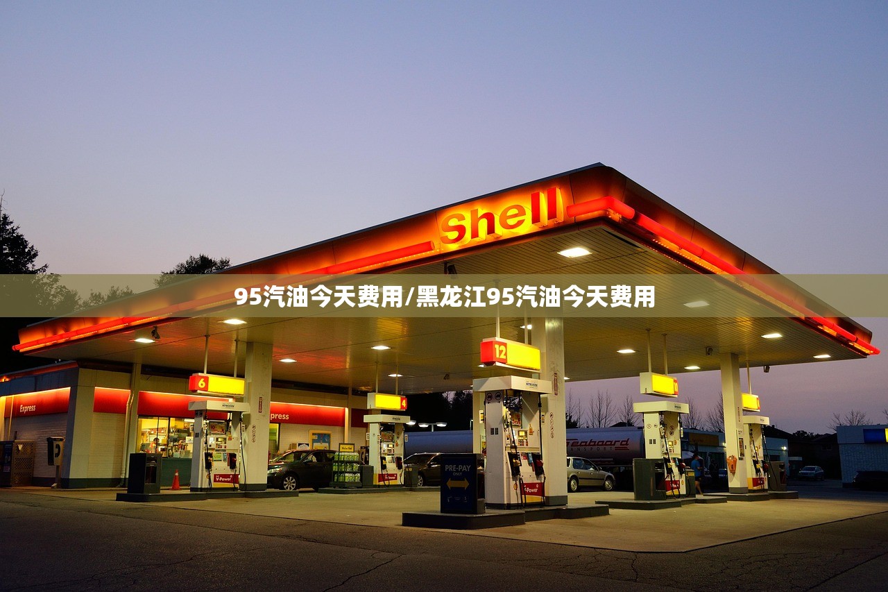 95汽油今天费用/黑龙江95汽油今天费用 95汽油今天费用/黑龙江95汽油今天费用