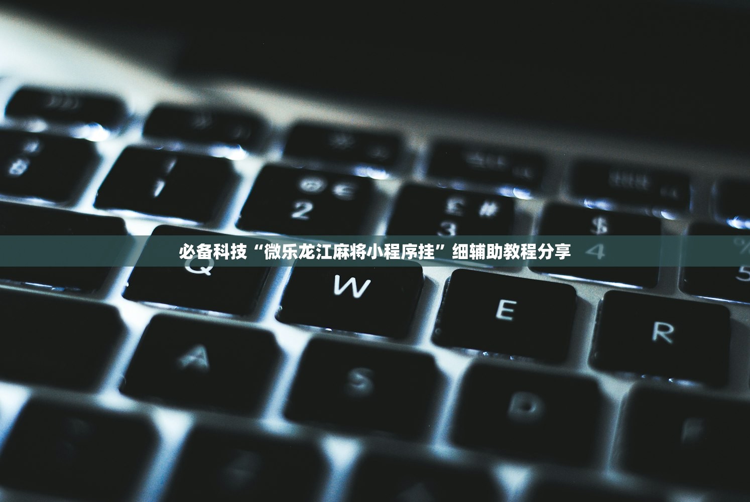必备科技“微乐龙江麻将小程序挂”细辅助教程分享