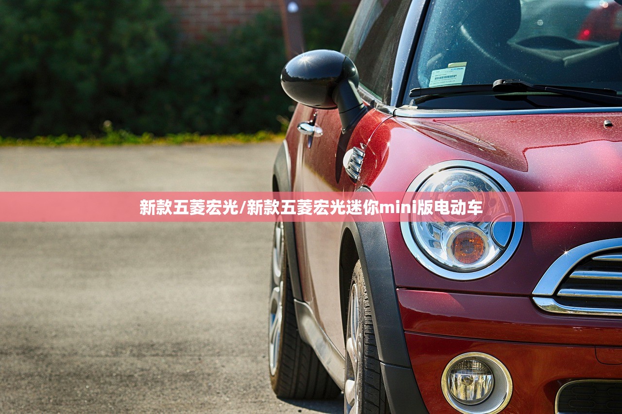 新款五菱宏光/新款五菱宏光迷你mini版电动车 新款五菱宏光/新款五菱宏光迷你mini版电动车