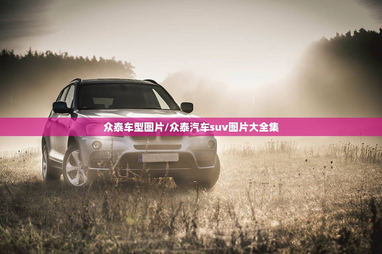 众泰车型图片/众泰汽车suv图片大全集