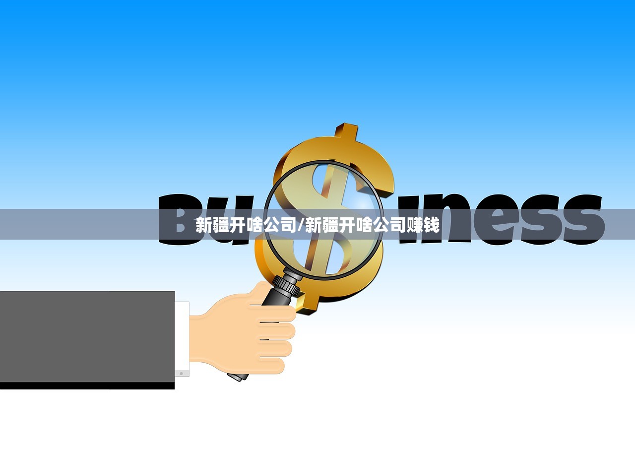 新疆开啥公司/新疆开啥公司赚钱