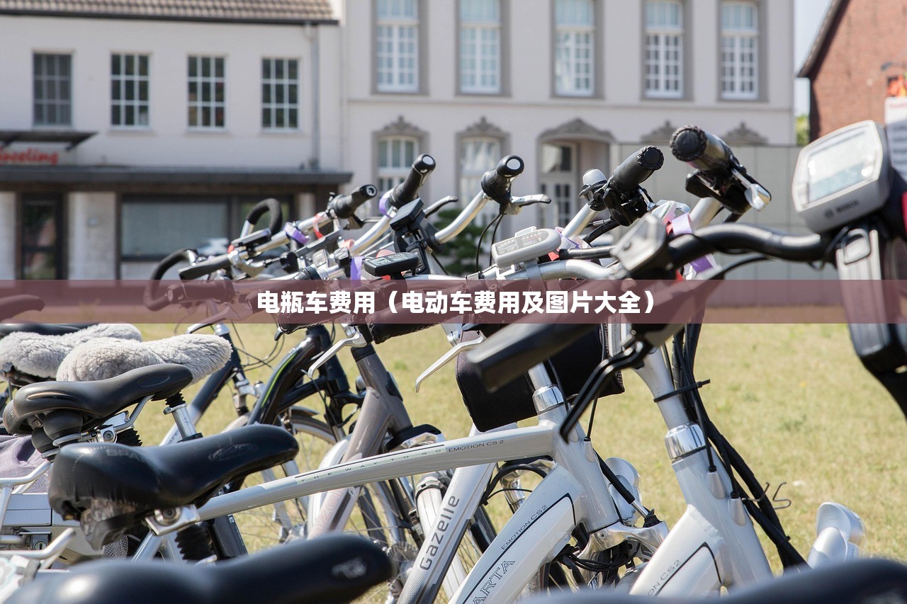 电瓶车费用（电动车费用及图片大全）