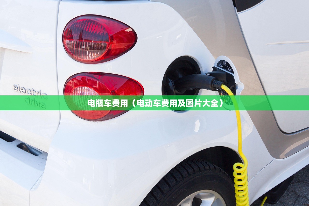 电瓶车费用（电动车费用及图片大全）