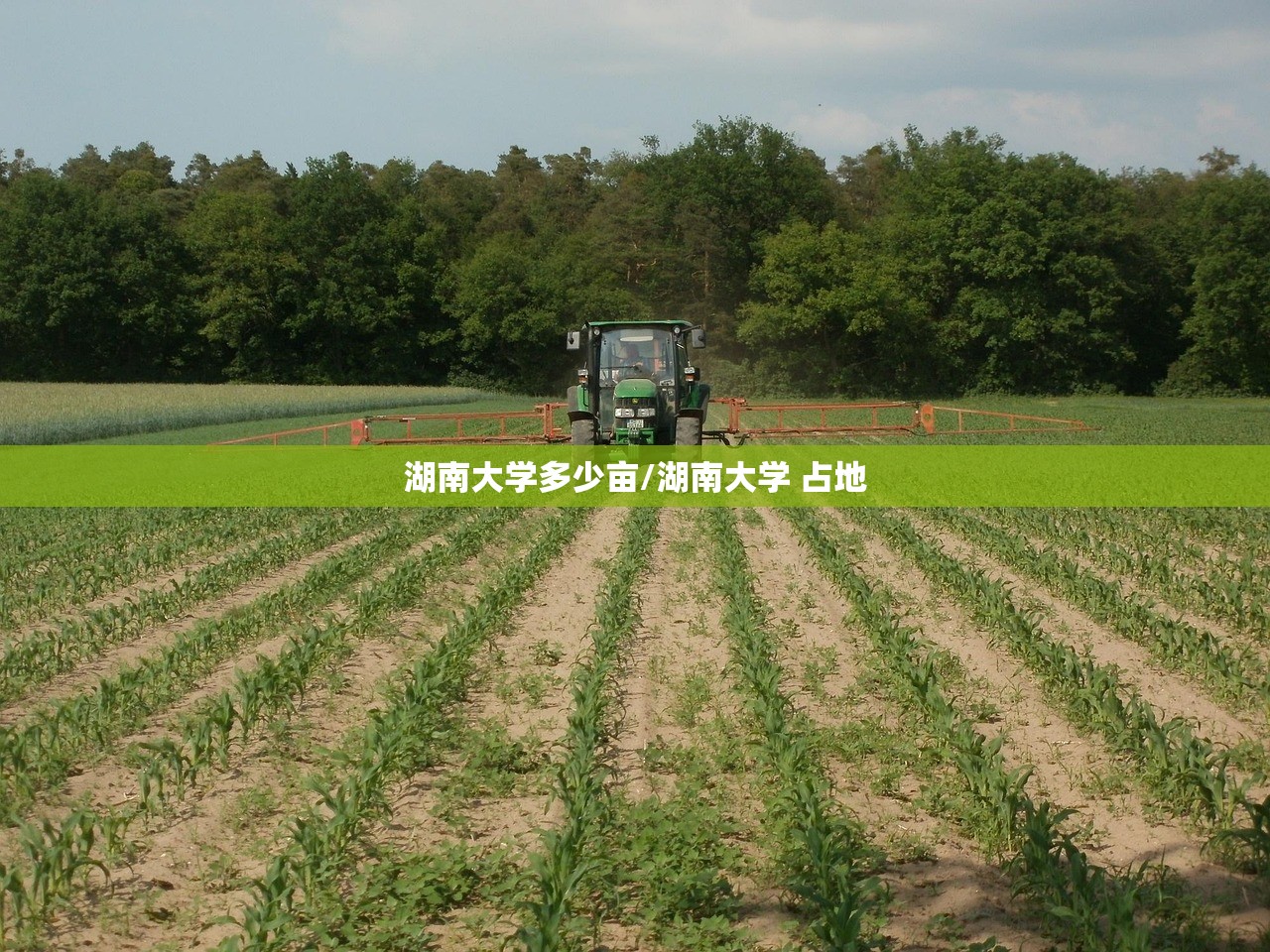 湖南大学多少亩/湖南大学 占地 湖南大学多少亩/湖南大学 占地