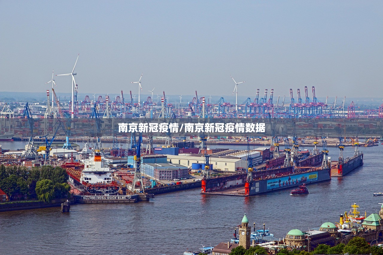 南京新冠疫情/南京新冠疫情数据