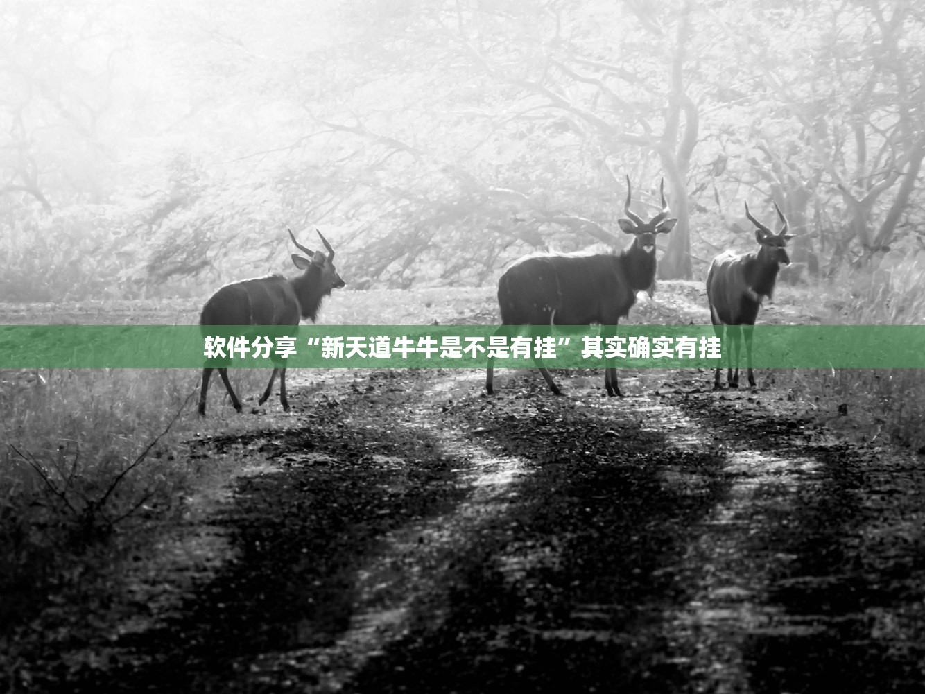 天津疫情地图:天津疫情地图实时动态
