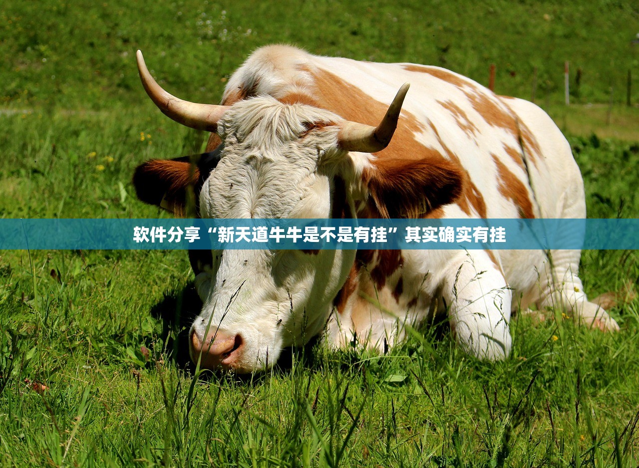 软件分享“新天道牛牛是不是有挂”其实确实有挂
