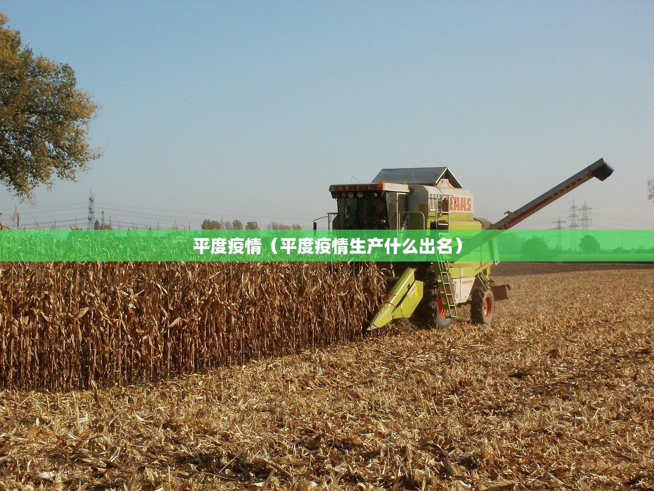 平度疫情（平度疫情生产什么出名）