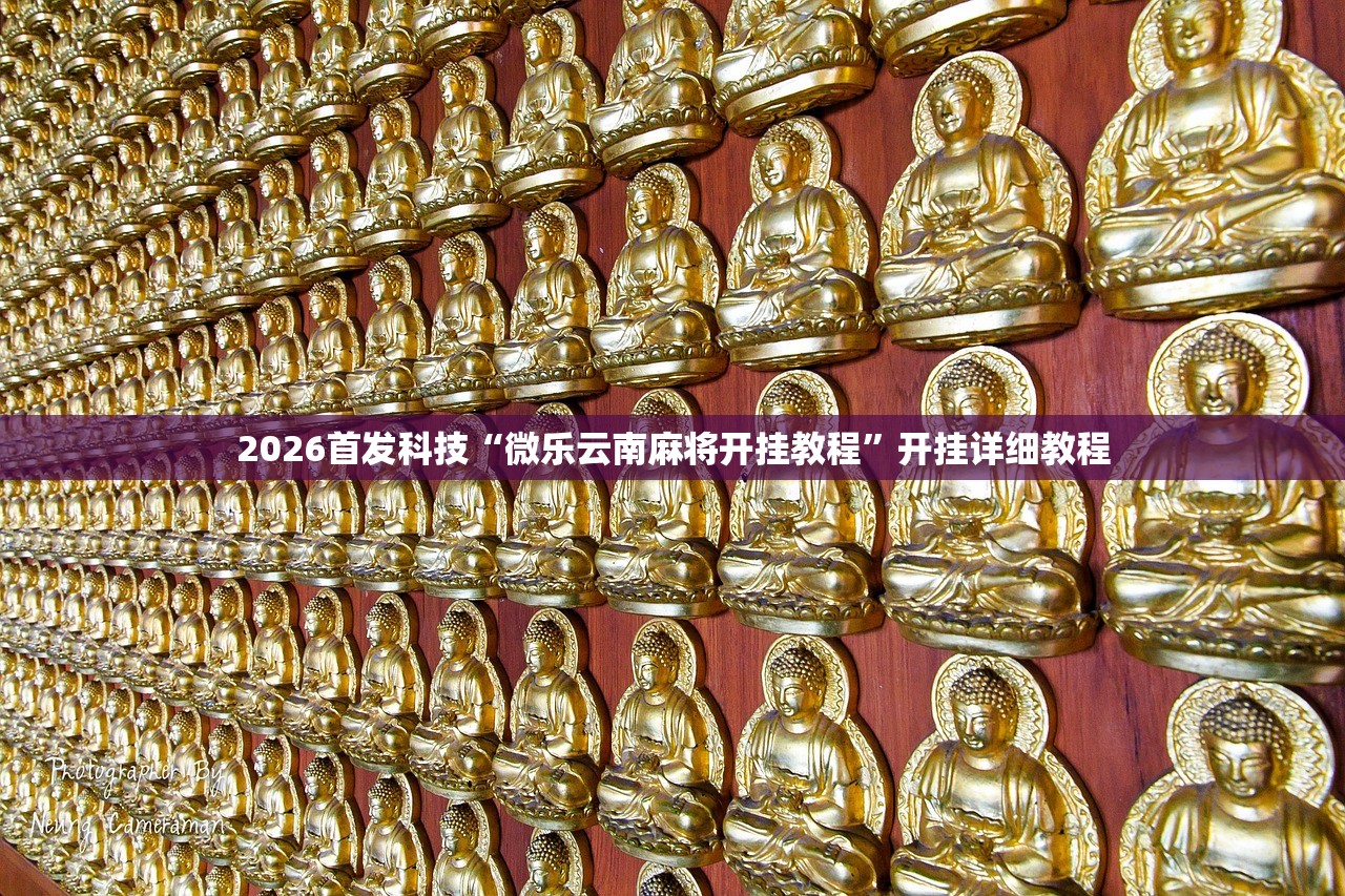 2026首发科技“微乐云南麻将开挂教程	”开挂详细教程