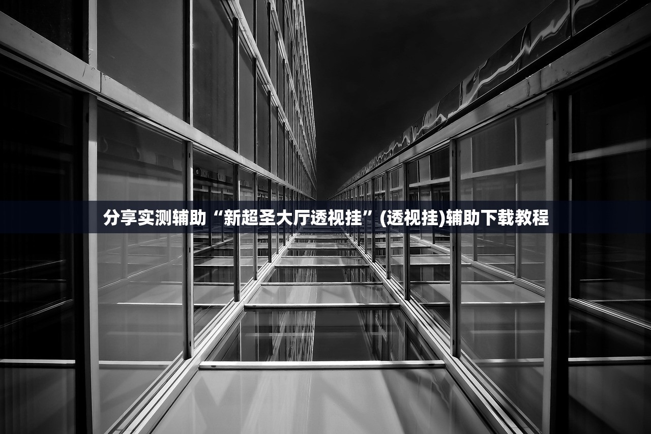 分享实测辅助“新超圣大厅透视挂”(透视挂)辅助下载教程