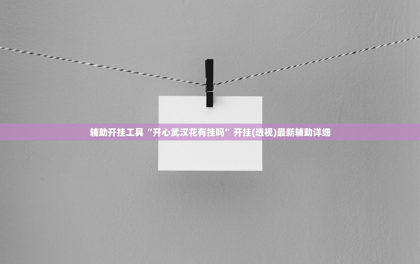 辅助开挂工具“开心武汉花有挂吗”开挂(透视)最新辅助详细