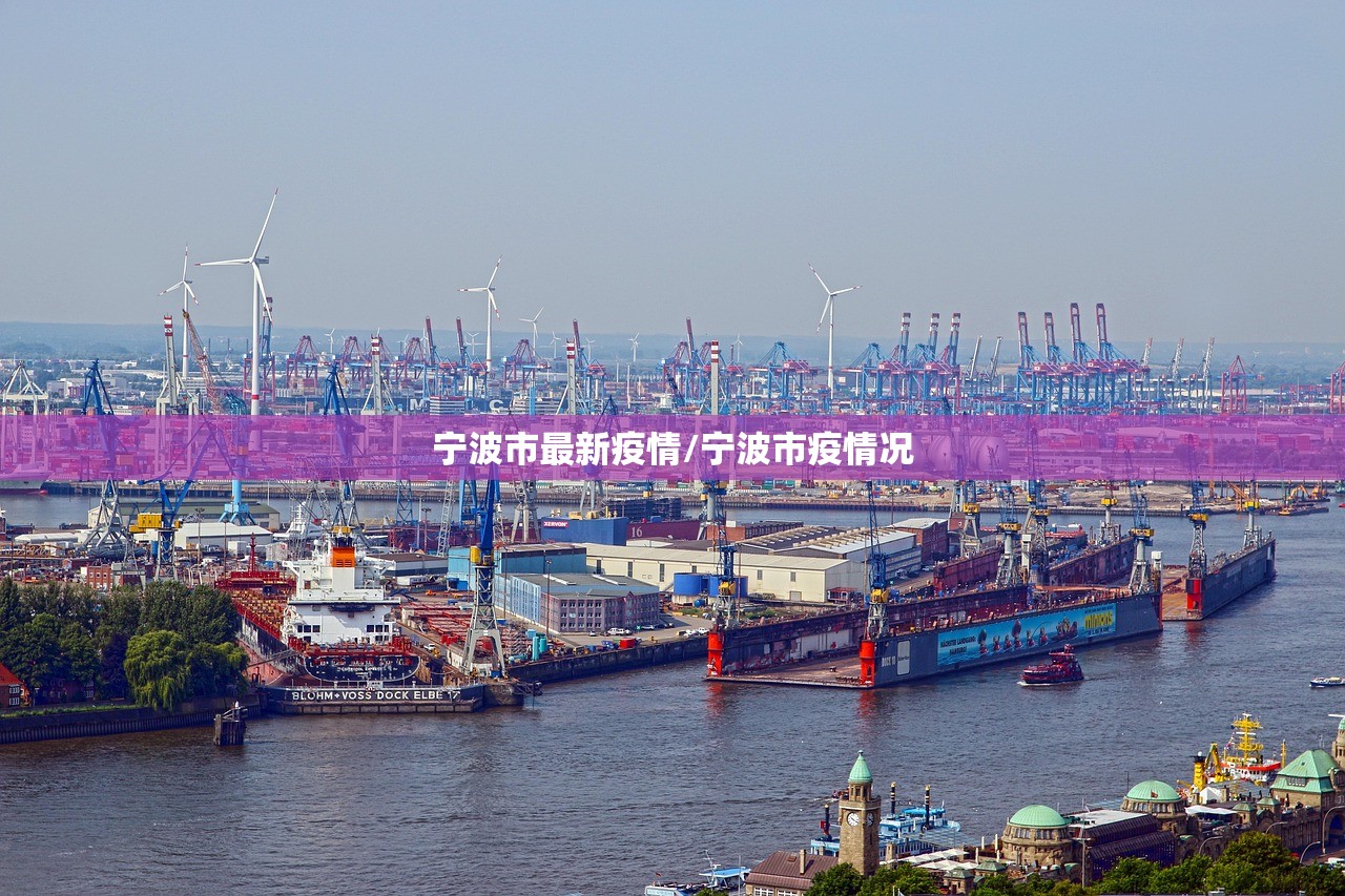 宁波市最新疫情/宁波市疫情况