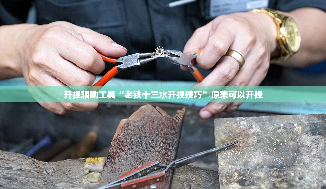 开挂辅助工具“老铁十三水开挂技巧”原来可以开挂