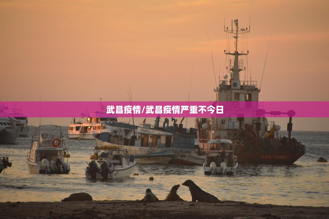 武昌疫情/武昌疫情严重不今日