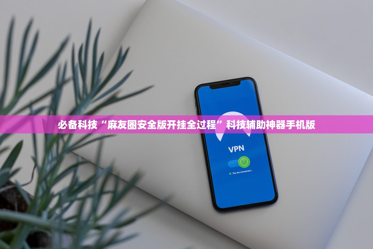 必备科技“麻友圈安全版开挂全过程”科技辅助神器手机版