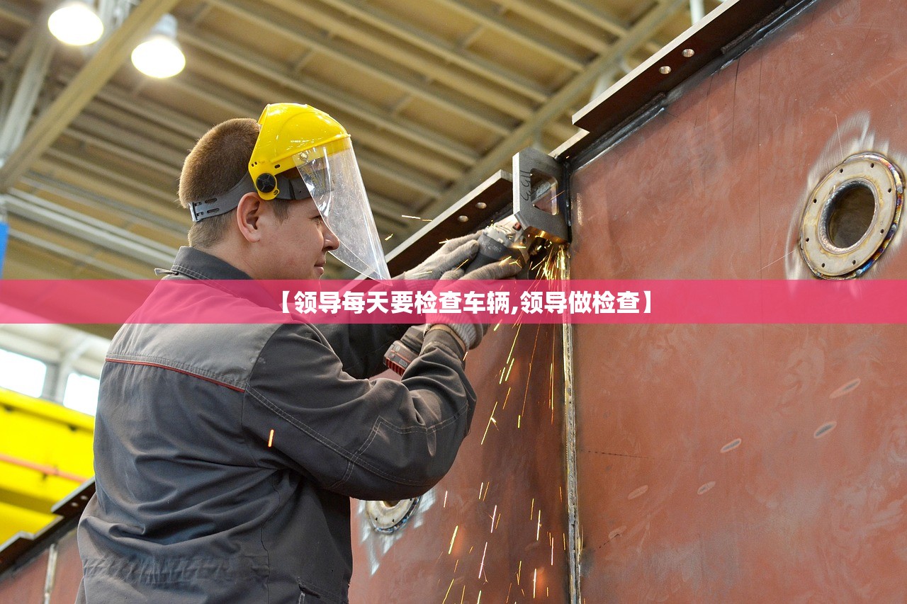 【领导每天要检查车辆,领导做检查】