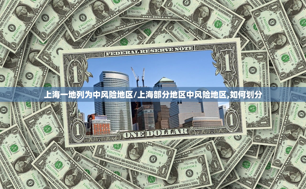 上海一地列为中风险地区/上海部分地区中风险地区,如何划分