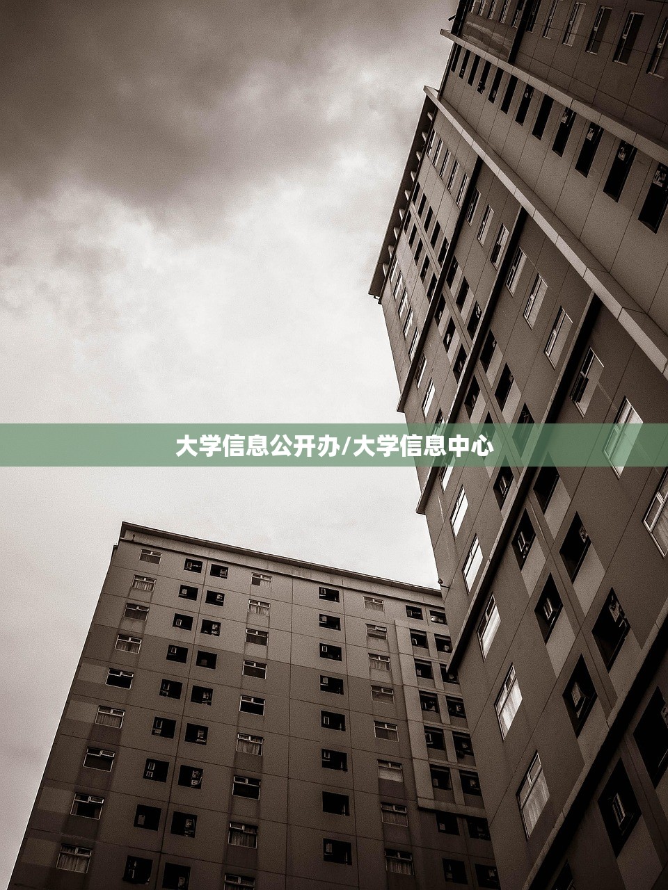 大学信息公开办/大学信息中心
