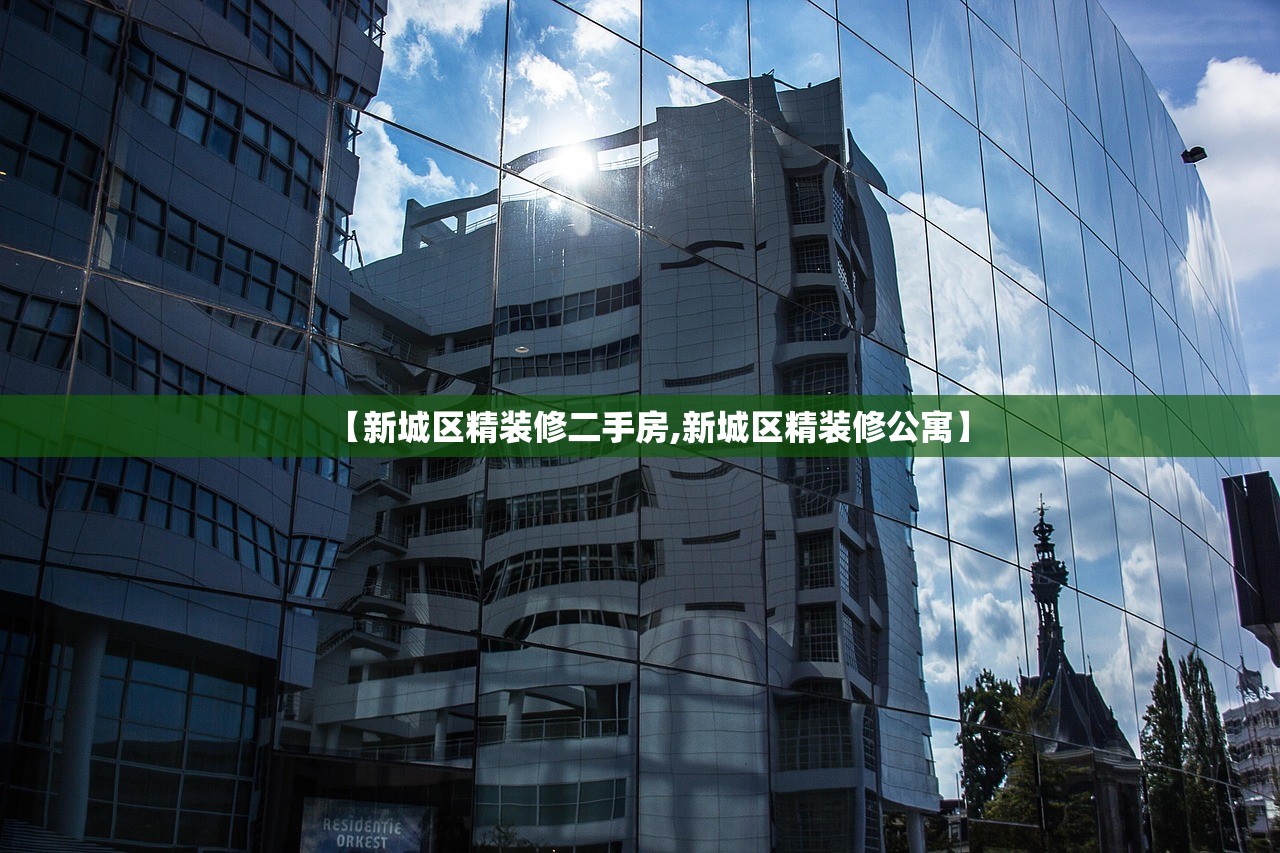 【新城区精装修二手房,新城区精装修公寓】