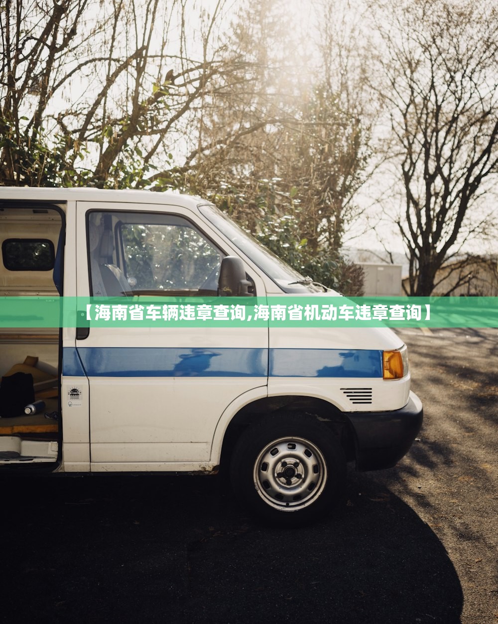 【海南省车辆违章查询,海南省机动车违章查询】