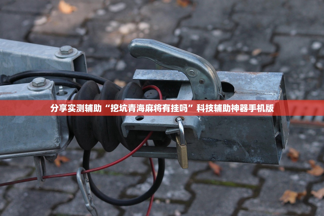 必备科技“手机微乐麻将开挂神器下载安装”(辅助神器)开挂详细教程