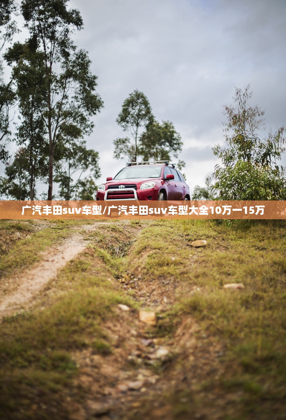 广汽丰田suv车型/广汽丰田suv车型大全10万一15万 广汽丰田suv车型/广汽丰田suv车型大全10万一15万