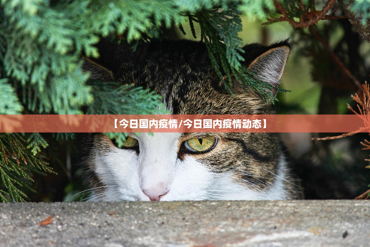 【今日国内疫情/今日国内疫情动态】
