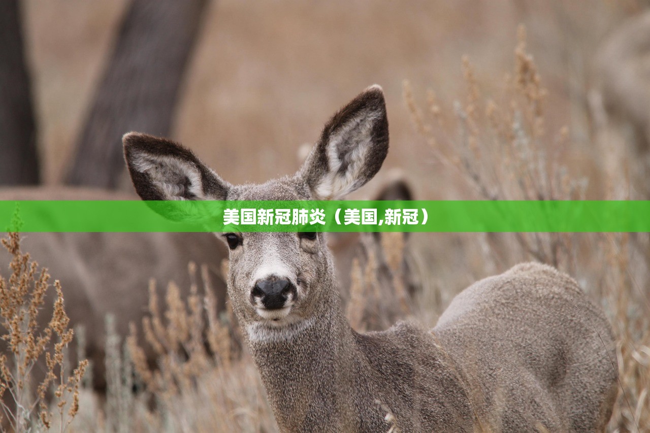 美国新冠肺炎（美国,新冠）