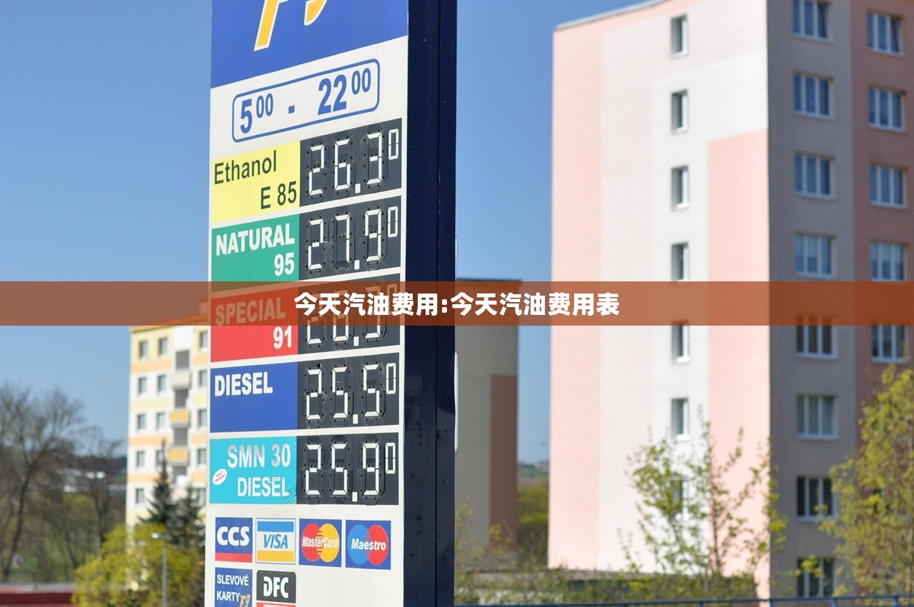 今天汽油费用:今天汽油费用表