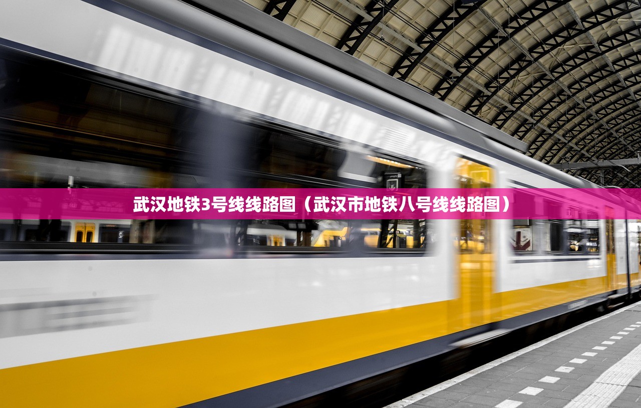 武汉地铁3号线线路图（武汉市地铁八号线线路图）