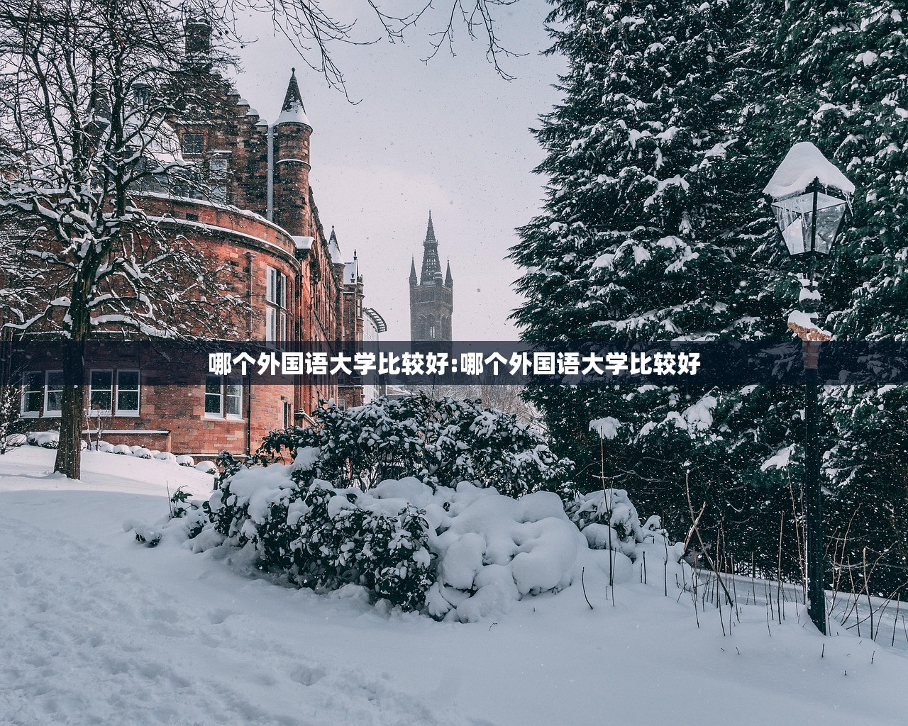 哪个外国语大学比较好:哪个外国语大学比较好