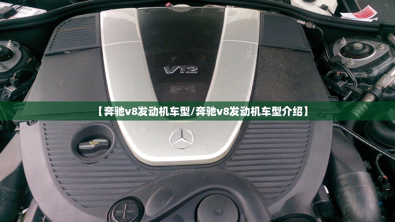 【奔驰v8发动机车型/奔驰v8发动机车型介绍】