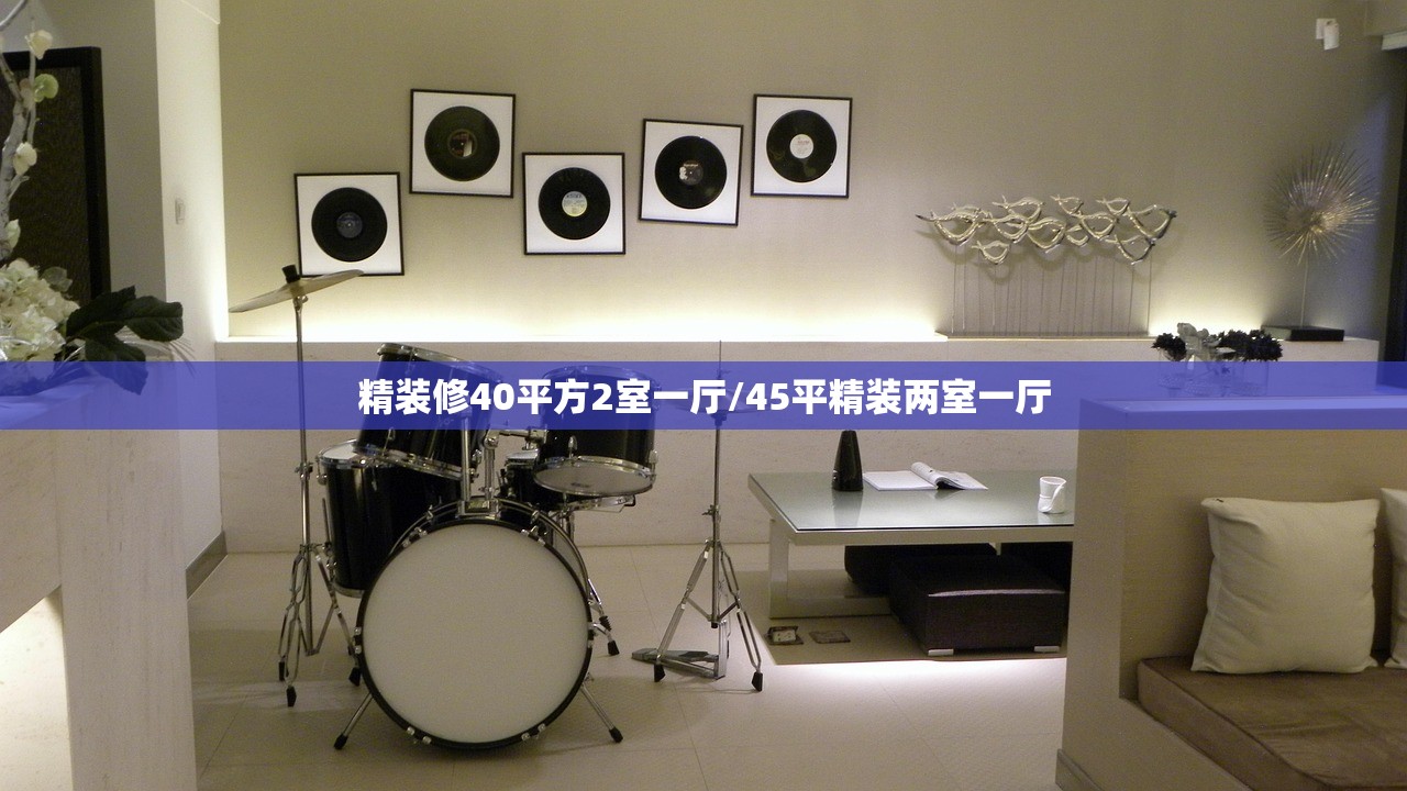 精装修40平方2室一厅/45平精装两室一厅