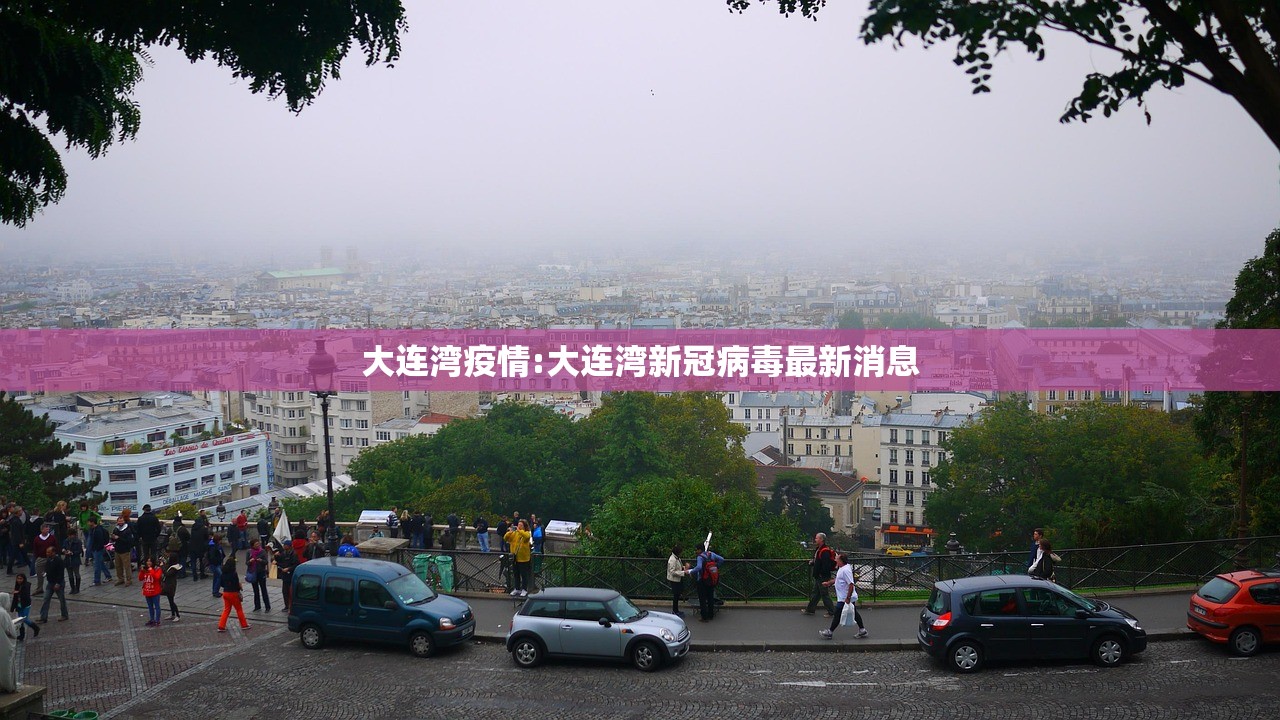 大连湾疫情:大连湾新冠病毒最新消息
