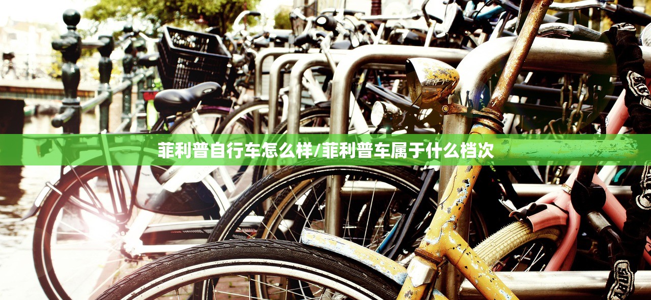 菲利普自行车怎么样/菲利普车属于什么档次