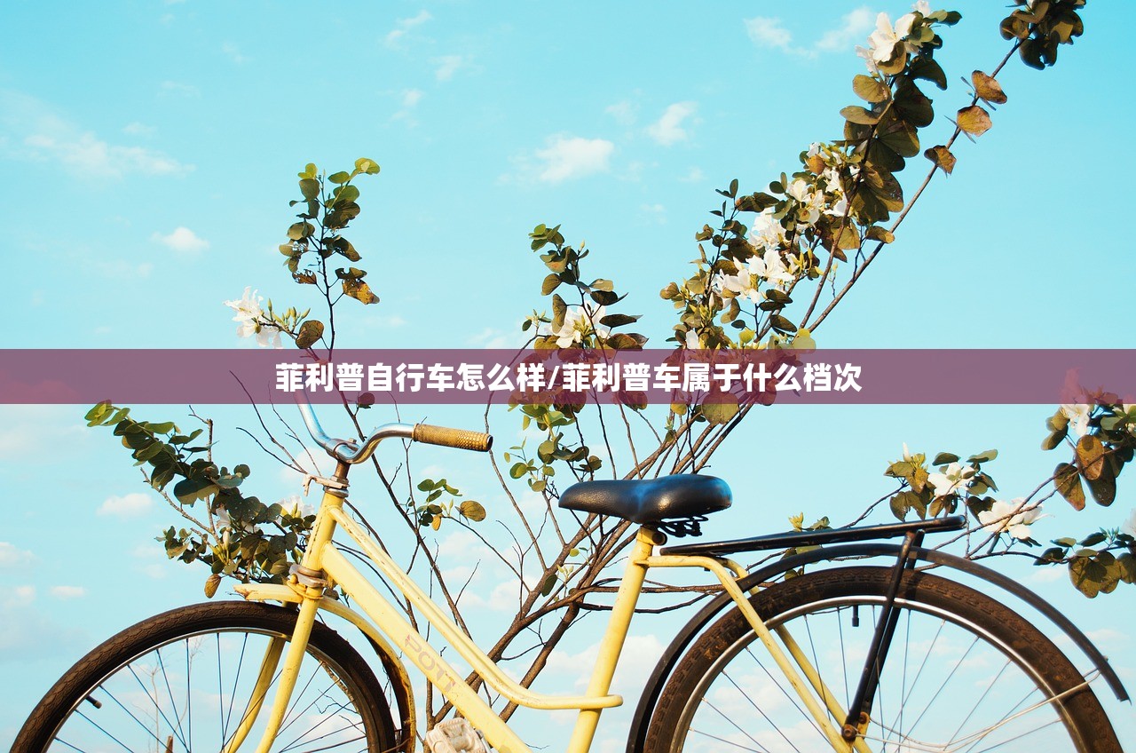 菲利普自行车怎么样/菲利普车属于什么档次