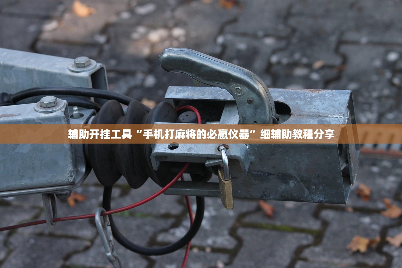辅助开挂工具“手机打麻将的必赢仪器”细辅助教程分享