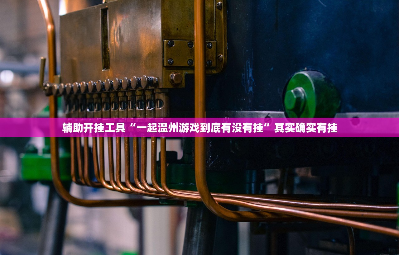 开挂辅助工具“葫芦牛牛有没有挂(透视)”开挂辅助脚本+详细开挂安装教程