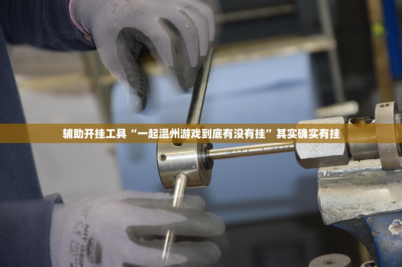 辅助开挂工具“一起温州游戏到底有没有挂”其实确实有挂